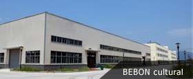 company introduction