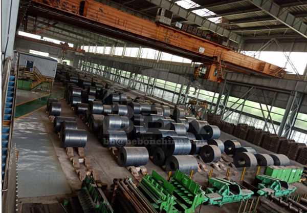 SG295 steel coil